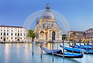 Venice, la salute photo