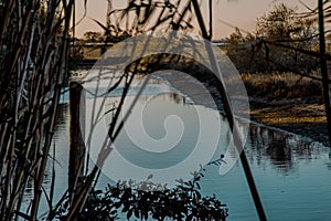 The Venice Lagoon, or Venetian Lagoon (in Venetian dialect ?aguna de Venesia or ?aguna vÃ¨neta) photo