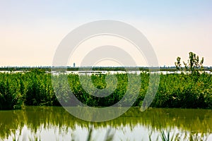 The Venice Lagoon or Venetian Lagoon in Venetian dialect unaaguna de Venesia or È½aguna vÃ¨neta is a lagoon of the northern Adriat