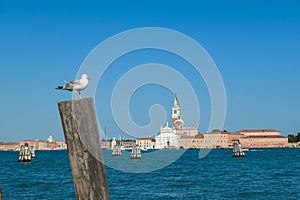 Venice - Seagull sitting on wooden pole with scenic view over Venetian lagoon in Venice