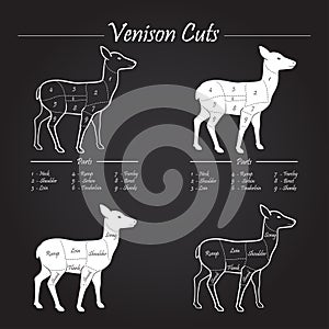 Venison meat cut diagram scheme - blackboard