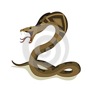 Venomous snake. Danger color animal. Poisonous reptile crawl. Decorative character, wildlife nature animal