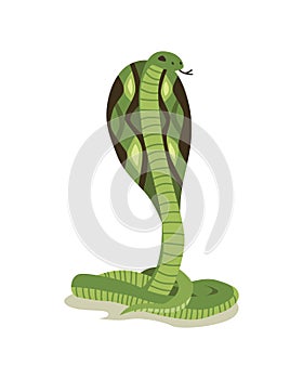 Venomous snake. Danger color animal. Poisonous reptile crawl. Decorative character, wildlife nature animal