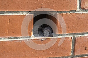 Vent in wall