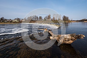 Venta Rapid waterfall, the widest waterfall in Europe with a tree trunk. Kuldiga, Latvia