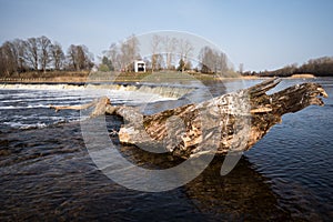 Venta Rapid waterfall, the widest waterfall in Europe with a tree trunk. Kuldiga, Latvia