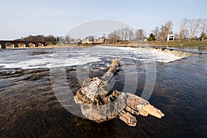 Venta Rapid waterfall, the widest waterfall in Europe with a tree trunk. Kuldiga, Latvia