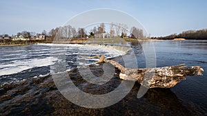 Venta Rapid waterfall, the widest waterfall in Europe with a tree trunk. Kuldiga, Latvia