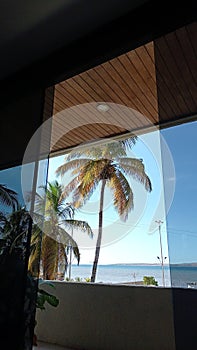 Ventana con palmeras mar cieloplaya