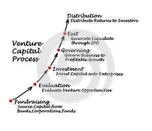 Venture Capital Process