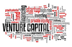 Venture capital word cloud