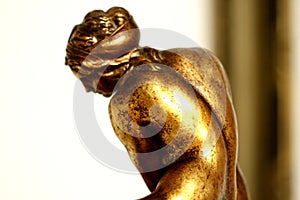 Venus antique bronze female nude back statue detail