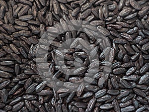 Venus black rice