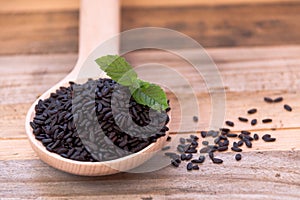 Venus black rice