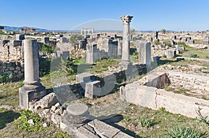 Venus Entourage house at Volubilis, Morocco