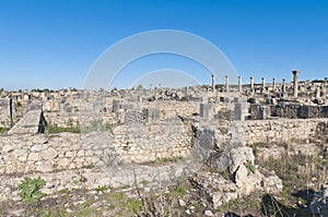 Venus Entourage house at Volubilis, Morocco