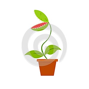 Venus fly trap in pot icon.