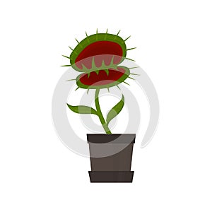 Venus flytrap. Carnivorous plant in a pot, vector illustration