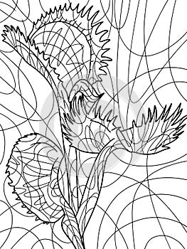 Venus flytrap, houseplant killer. Freehand sketch for adult antistress coloring page with doodle and zentangle elements