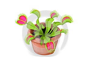 Venus flytrap in a pot illustration