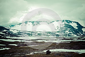 Veobrean glacier seen from Glittertind mountain (Jotunheimen Nat