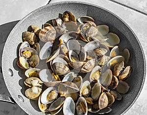 Veracious clams of the Tyrrhenian Sea, Italy