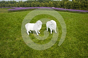 Verbena bonariensis, lawns, cartoon sheep