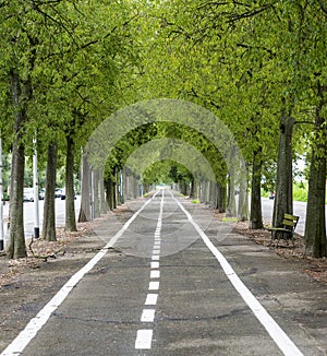 Vercelli, cycling lane