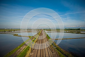 Vercelli rice fields