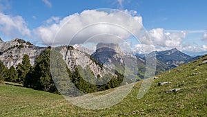 Vercors landscape, Combeau valley, ibex, Mont Aiguille, flowers and shepherd`s hut