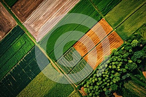 Verdant Aerial view farm land. Generate Ai photo