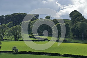 Verdant Fields and Dark Clouds in the Moffat Hills, Southern Scotland, Great Britain