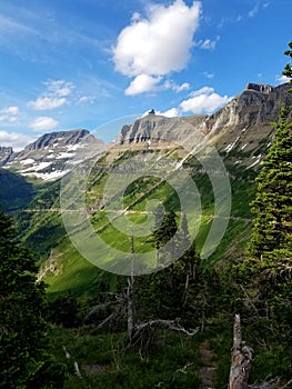 The verdant Garden Wall, Glacier National Park