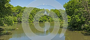 Verdant Growth on a Placid Lake