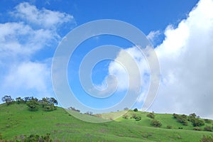 Verdant hillside photo