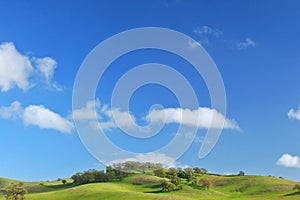 Verdant hillside