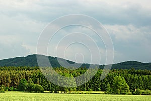 Verdant landscape photo