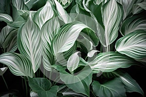 Verdant leaves mingling with white foliage, creating texture abundant backdrops. Generative AI