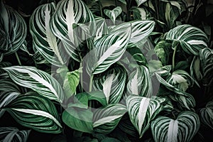 Verdant leaves mingling with white foliage, creating texture abundant backdrops. Generative AI