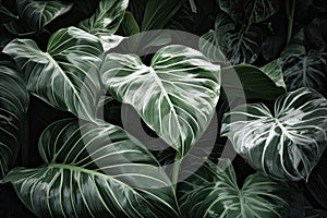 Verdant leaves mingling with white foliage, creating texture abundant backdrops. Generative AI