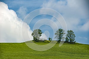 Verdant meadows on the hill and in the background blue sky and white clouds