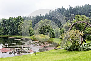 Pond photo