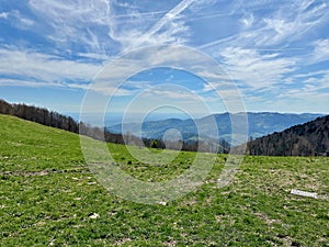 Verdant Springtime Slope Overlooking the Thann Valley from Col du Haag, Grand Ballon, Vosges, Haut-Rhin, Alsace, France