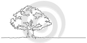 verdant tree one line drawing continuous copy space decoration photo