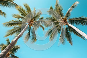 Verdant Tropical palm trees view. Generate Ai