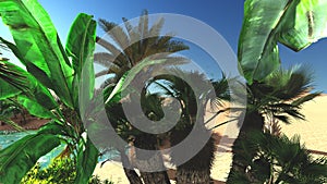 Verdant tropical plants on wasteland in the evening, 3d rendering