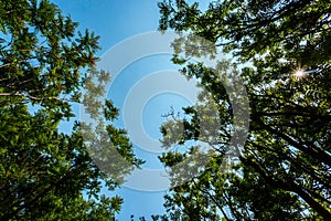 Verde River, Arizona.