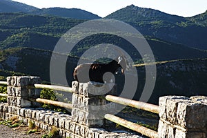 Verdon Gorge, La Palud-sur-Verdon, Castellane, Hautes-Alpes, Provence-Alpes-Cote d\'Azur, France