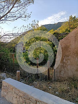 Verdure Saint Pons GÃÂ©menos france photo