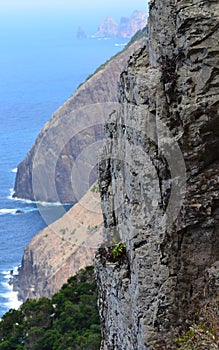 Vereda da Boca do Risco walking path in Madeiraâ€™s north-eastern coast